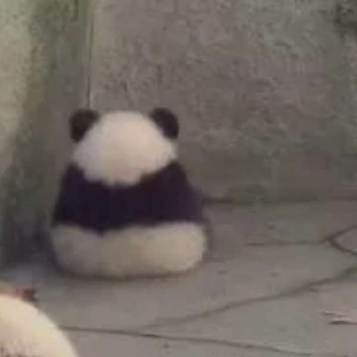 朱釵
