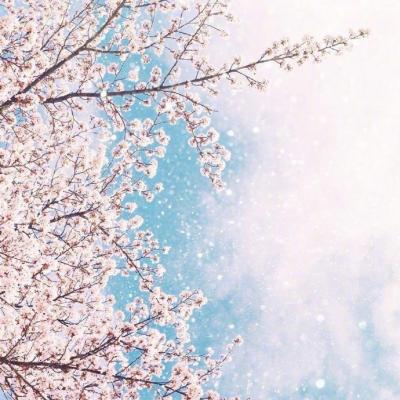 洛晨