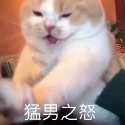 武殿章