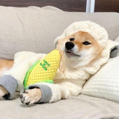 司徒玦