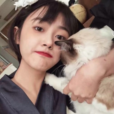 貓婆婆