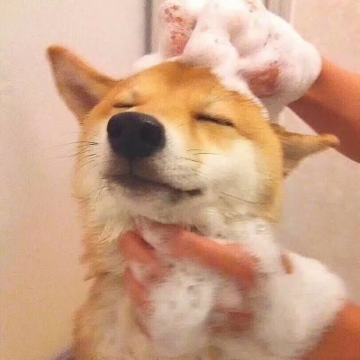 俄里翁