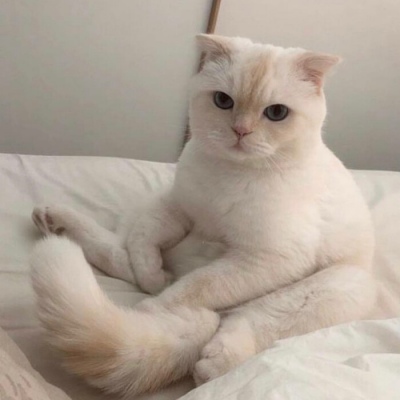 徐燕時