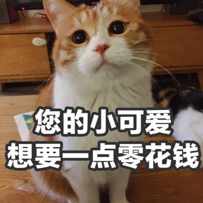 張茗
