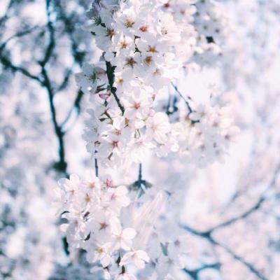 武井咲