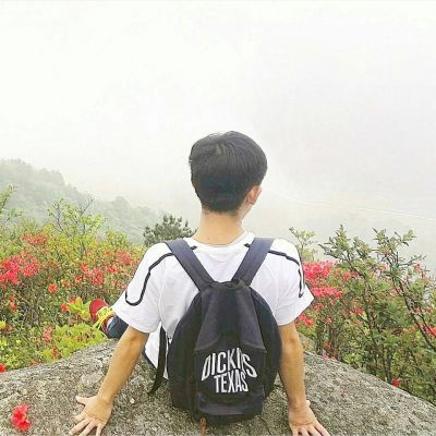 武井咲