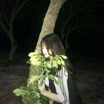 陳曉龍