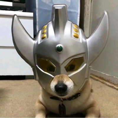 郭昊文