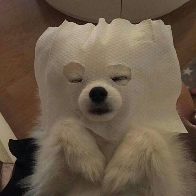 軒哥