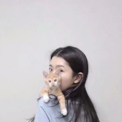 高尚士