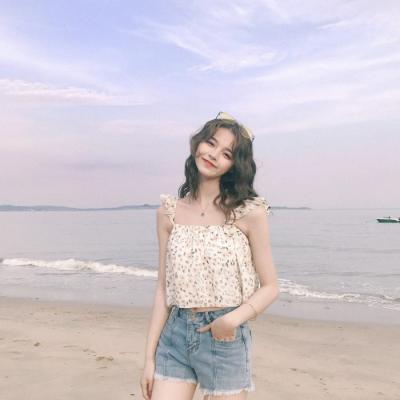 豹海豹