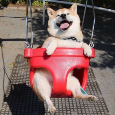 蒲熠星