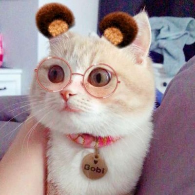 傲軟