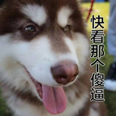 手感油