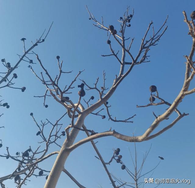 馬上過年了,今年過年還能串門嗎? 馬上過年了,今年過年還能串門嗎?