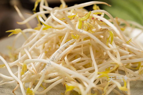 怎么生豆芽菜黃豆怎么生豆芽菜