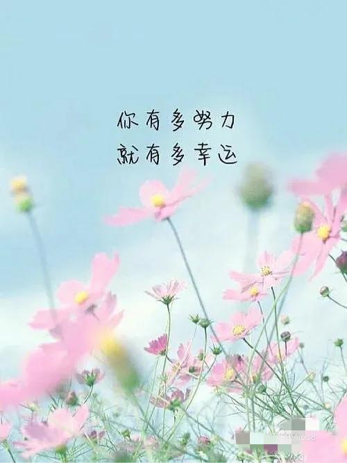 人到中年后才明白，兒子和女兒的差別真的很大，你怎么看？