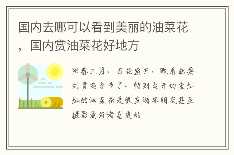 國內去哪可以看到美麗的油菜花，國內賞油菜花好地方