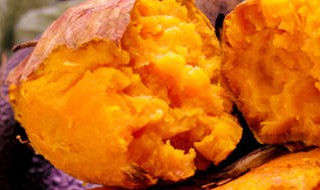 水泡紅薯盆栽種植方法 水泡紅薯盆栽怎么種植