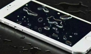 手機進水放大米里多久 手機進水怎么辦