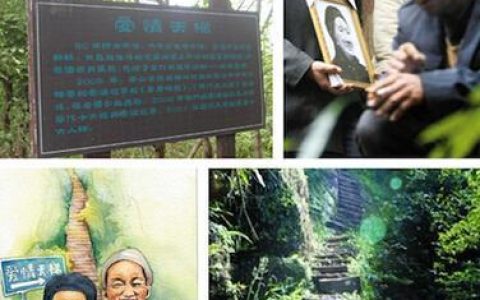 愛的天梯(愛情天梯電影在線觀看完整版)