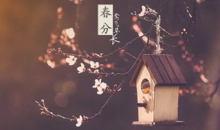 2022年春分節氣是什么日子 2022年春分節氣是什么日子意思
