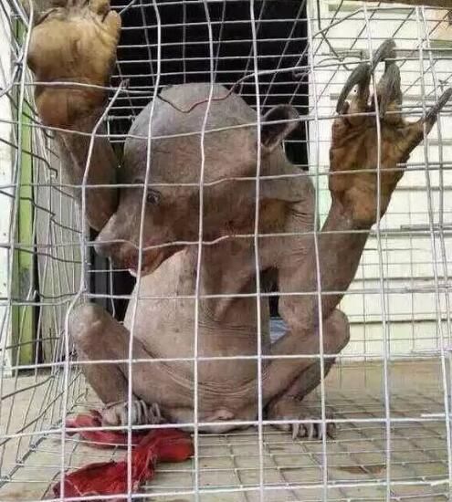 揭陽水鬼事件是真的嗎 真實視頻記錄水庫抓打水鬼