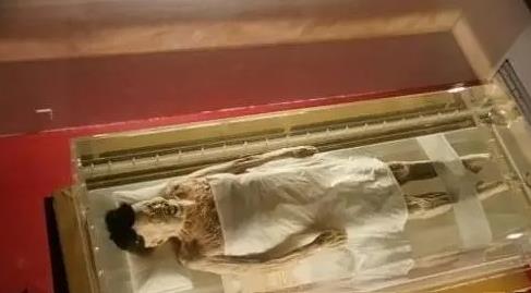 千年不腐女尸辛追夫人和香妃 辛追夫人尸身不腐的原因