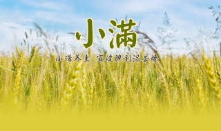 二十四節氣之小滿 應該如何養生？