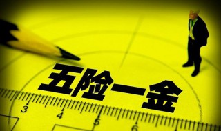 五險一金包括什么及繳納比例 五險一金的解釋和繳納比例分別是多少