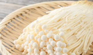 金針菇二次發芽能吃嗎 金針菇二次發芽能不能吃