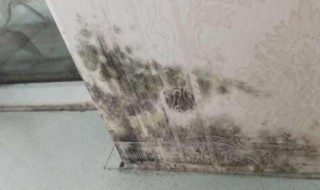 發霉的房間對人體有什么影響嗎 發霉的房間對人體有哪些影響