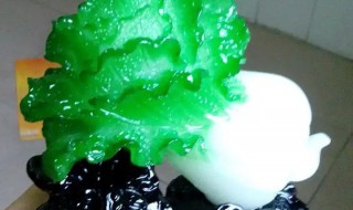 家里擺白菜怎么擺 白菜適合擺在家里什么地方
