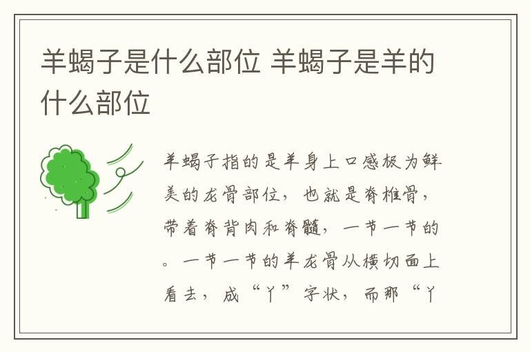羊蝎子是什么部位 羊蝎子是羊的什么部位