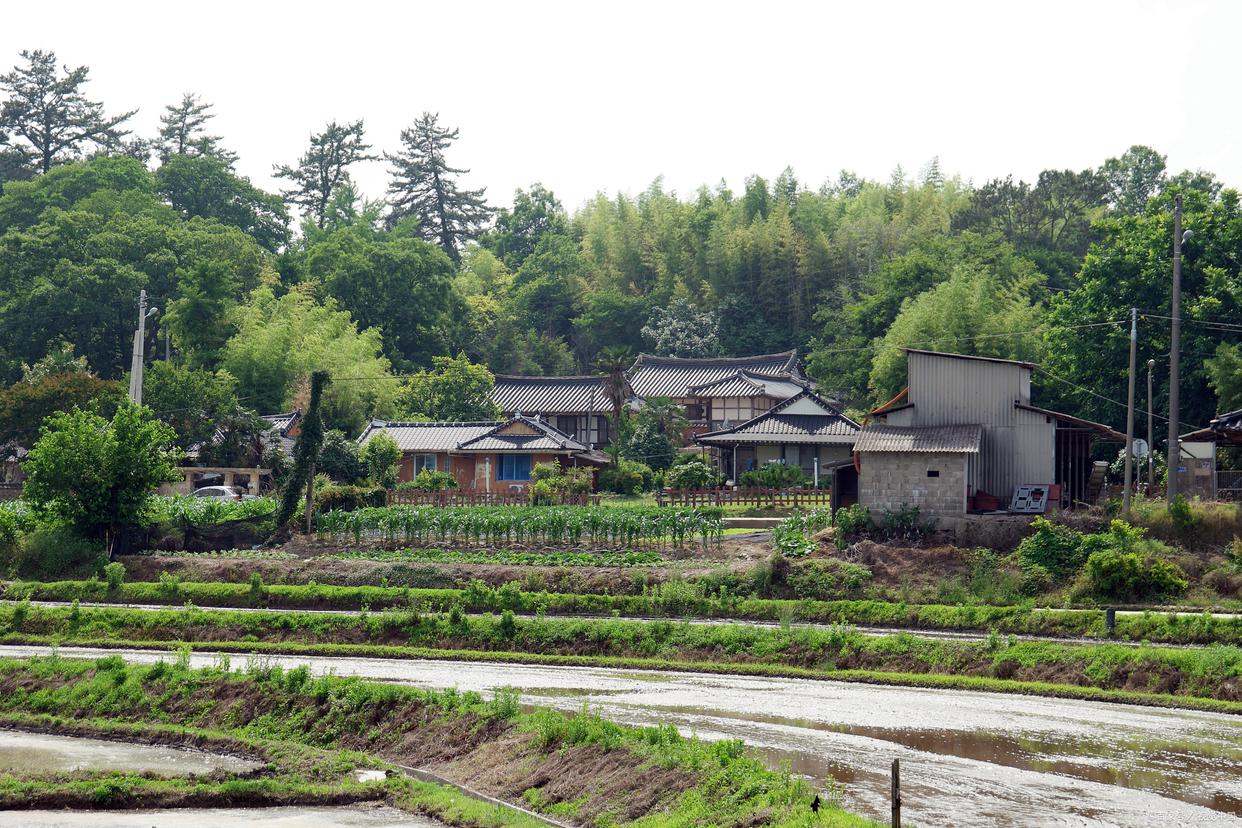 辭去工作，踏上旅途，卻意外當上村長