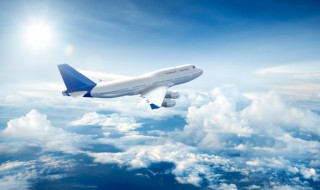 寵物可以上飛機托運嗎 飛機是否可以托運寵物