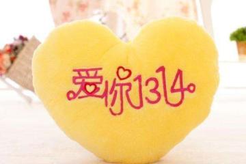1314是什么意思啊
