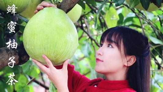 李子柒經歷了啥子事情為什么不嫁人有男朋友嗎 個人資料扒皮天涯
