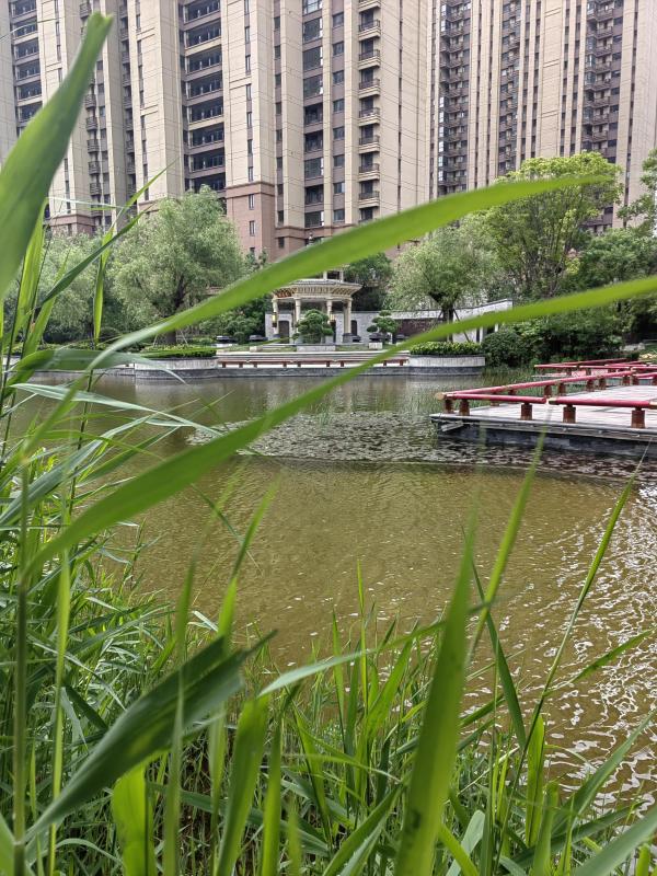 什么會真正地摧毀一個家庭？