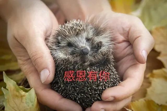 你曾遇到過哪些好人？