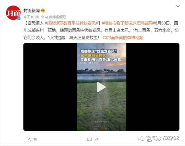 關于6月30日四川成都崇州出現大量蚊蟲聚集現象回答網友關心問題