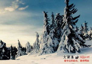 夢見雪山 不同的人夢見雪山的預兆