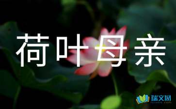 荷葉母親讀后感500字-圖1