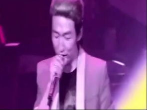 飛蛾歌詞 飛蛾的歌曲歌詞簡介