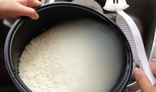 淘米能發出哪些聲音 淘米能發出什么聲音