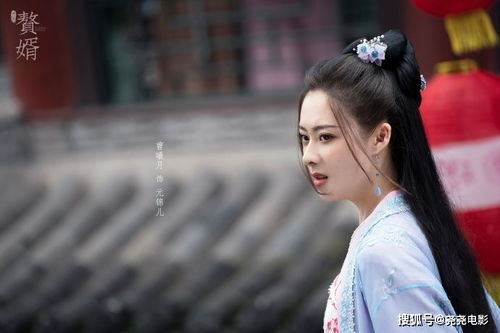 贅婿里的太師誰演的 贅婿里太師的扮演者