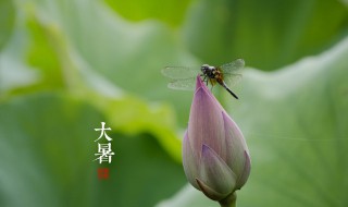防署降溫品 防暑降溫物品有哪些-圖1