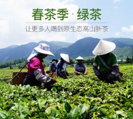 一年之鮮在于春，春茶之鮮在五峰！ 