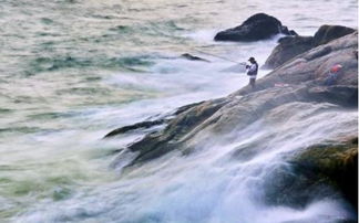 任憑風浪起穩坐釣魚臺是什么意思 任憑風浪起穩坐釣魚臺指什么