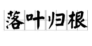 葉落歸根的意思 葉落歸根的出處